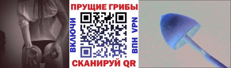 Псилоцибиновые грибы Psilocybe  где купить наркоту  Иваново 